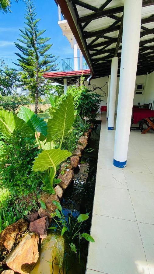 Owin Rose Yala Safari Hotel ティッサマハーラーマ エクステリア 写真