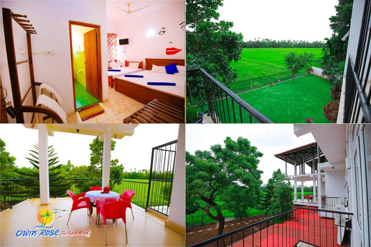 Owin Rose Yala Safari Hotel ティッサマハーラーマ エクステリア 写真