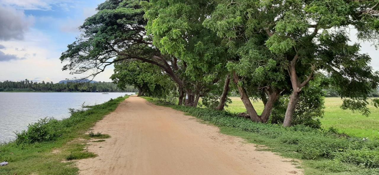Owin Rose Yala Safari Hotel ティッサマハーラーマ エクステリア 写真