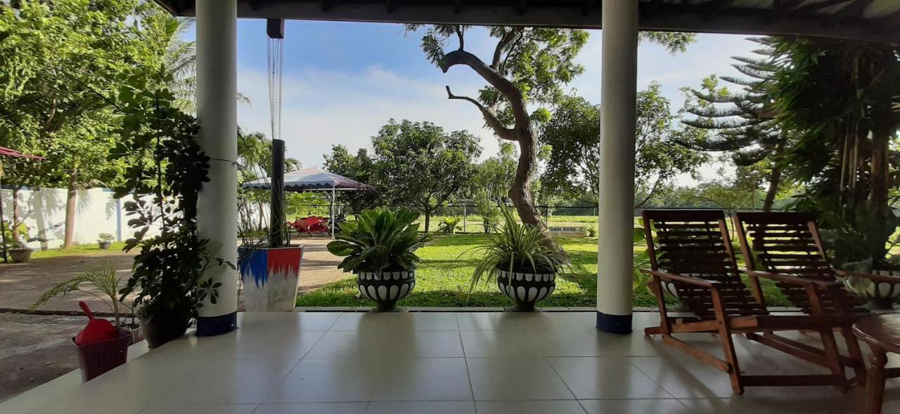 Owin Rose Yala Safari Hotel ティッサマハーラーマ エクステリア 写真